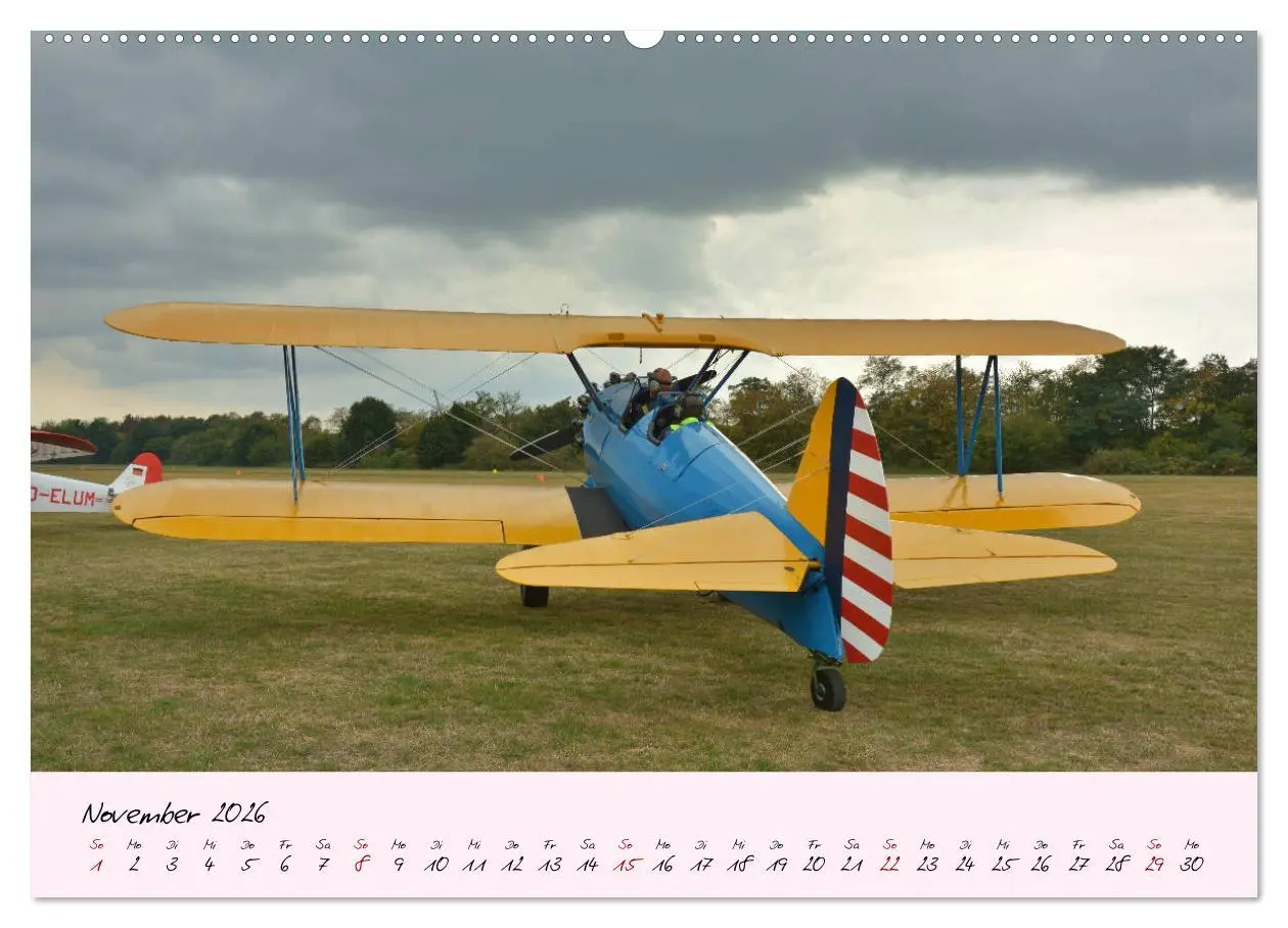 Bild: 9783457772997 | Schätzchen der Lüfte (Wandkalender 2026 DIN A2 quer), CALVENDO...