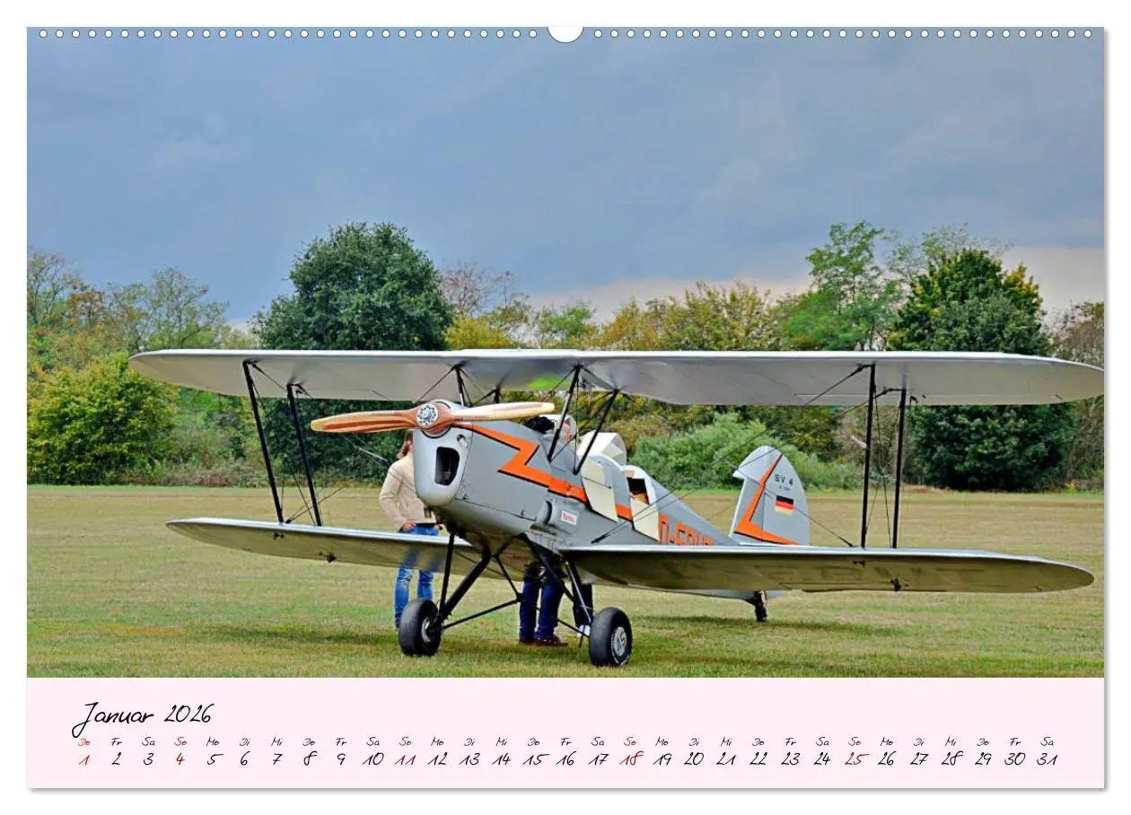 Bild: 9783457772997 | Schätzchen der Lüfte (Wandkalender 2026 DIN A2 quer), CALVENDO...