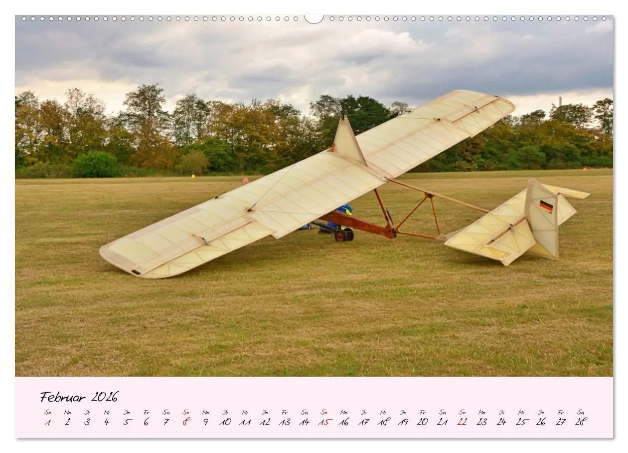 Bild: 9783457772997 | Schätzchen der Lüfte (Wandkalender 2026 DIN A2 quer), CALVENDO...