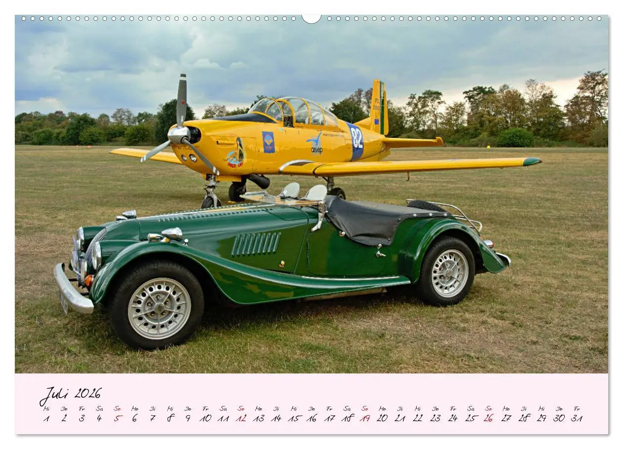 Bild: 9783457772997 | Schätzchen der Lüfte (Wandkalender 2026 DIN A2 quer), CALVENDO...