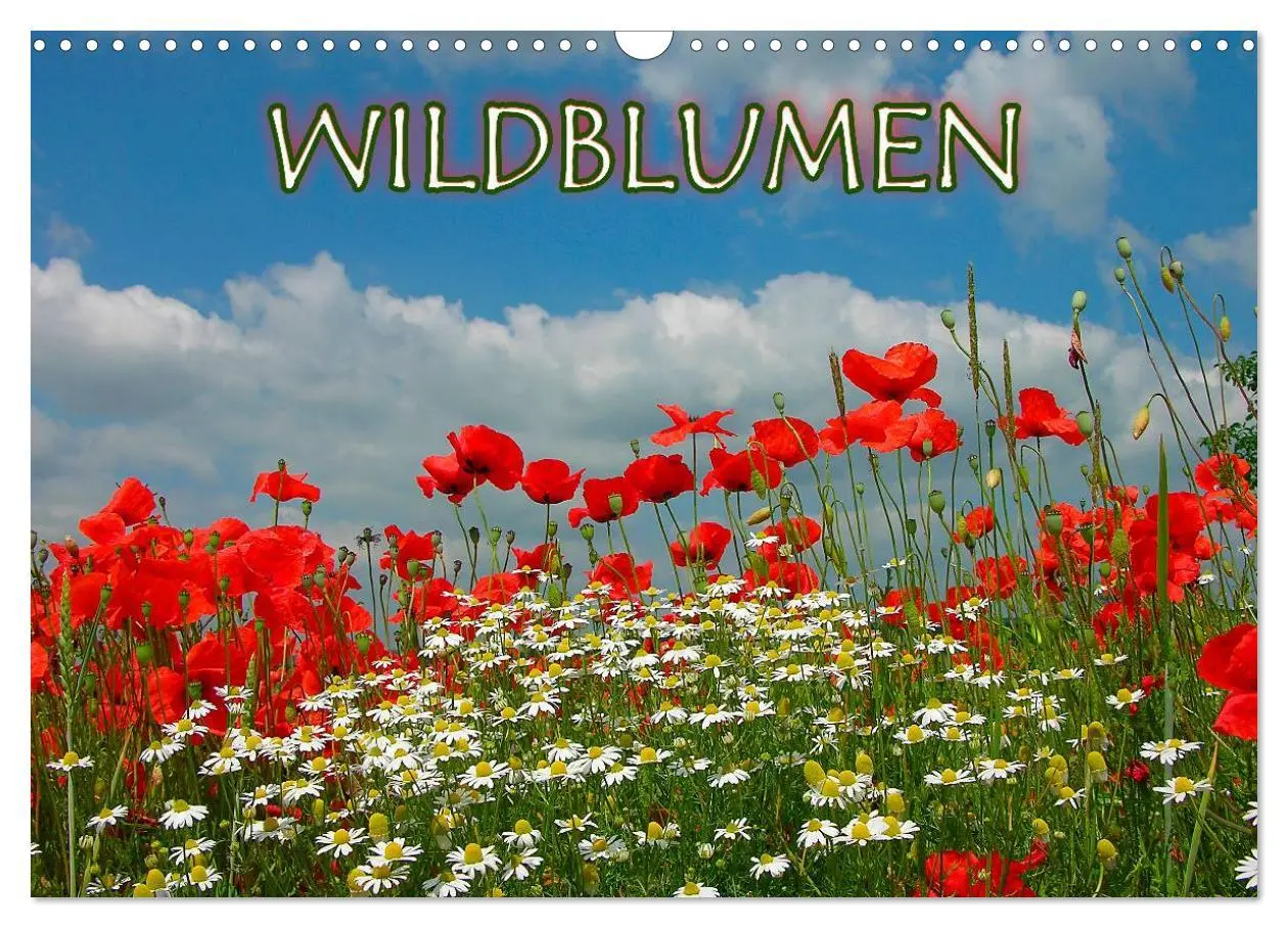 Cover: 9783516172997 | Wildblumen 2026 (Wandkalender 2026 DIN A3 quer), CALVENDO...