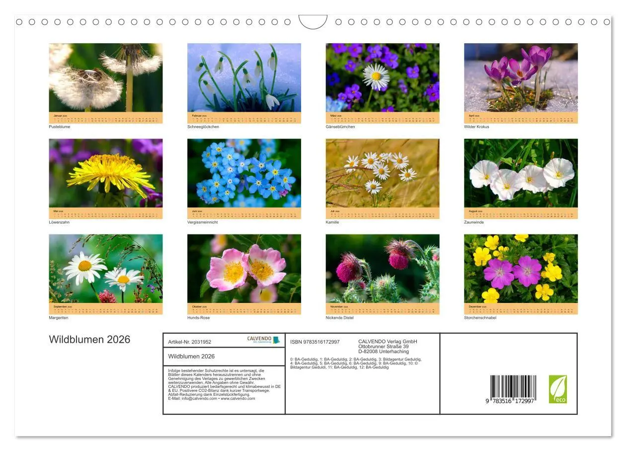 Bild: 9783516172997 | Wildblumen 2026 (Wandkalender 2026 DIN A3 quer), CALVENDO...