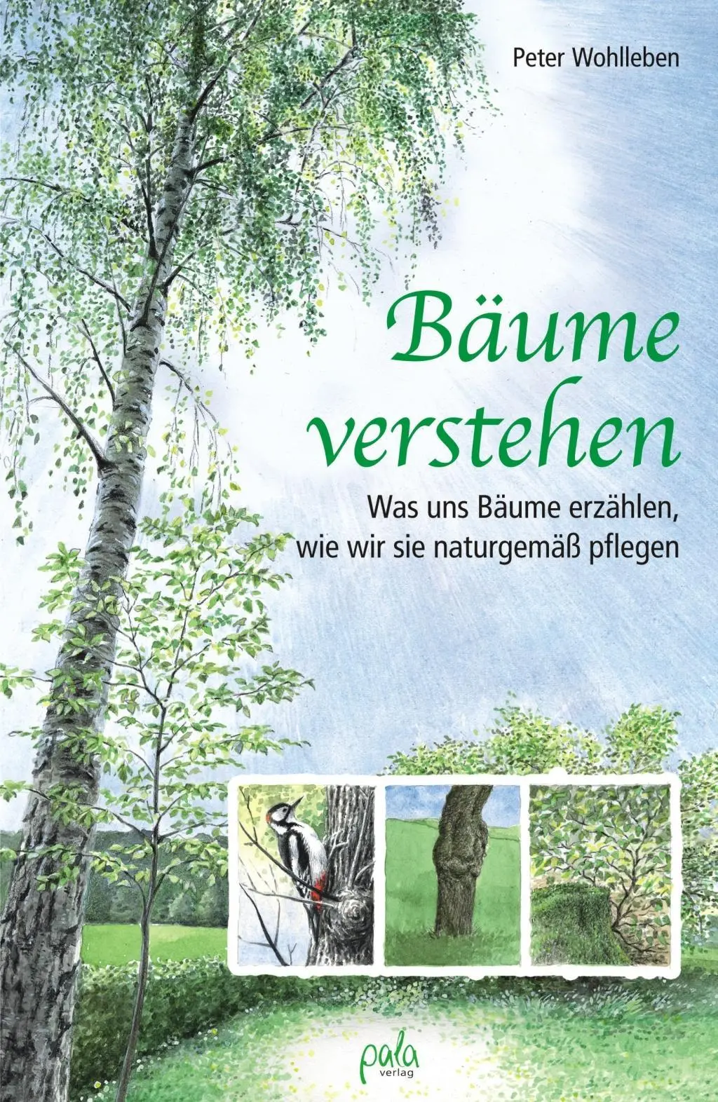 Cover: 9783895662997 | Bäume verstehen | Peter Wohlleben | Buch | Leinen (Buchleinen) | 2011