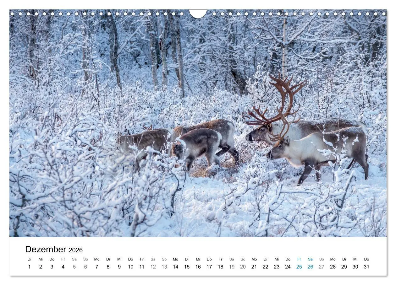 Bild: 9783457593097 | NORWEGEN - EINE ATEMBERAUBENDE SCHÖNHEIT (Wandkalender 2026 DIN A3...