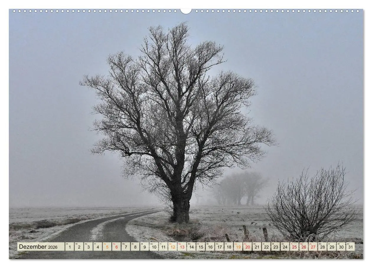 Bild: 9783457733097 | Landschaft an der Wümme (Wandkalender 2026 DIN A2 quer), CALVENDO...