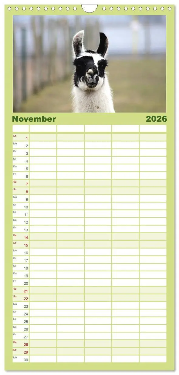 Bild: 9783516513097 | Familienplaner 2026 - Lama-Kalender mit 5 Spalten (Wandkalender, 21...