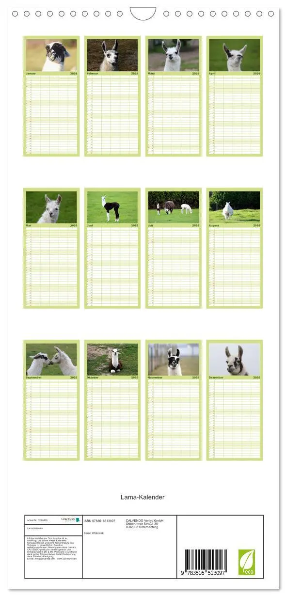 Bild: 9783516513097 | Familienplaner 2026 - Lama-Kalender mit 5 Spalten (Wandkalender, 21...