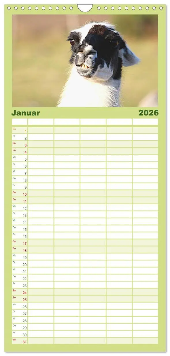 Bild: 9783516513097 | Familienplaner 2026 - Lama-Kalender mit 5 Spalten (Wandkalender, 21...