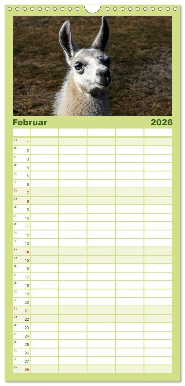 Bild: 9783516513097 | Familienplaner 2026 - Lama-Kalender mit 5 Spalten (Wandkalender, 21...