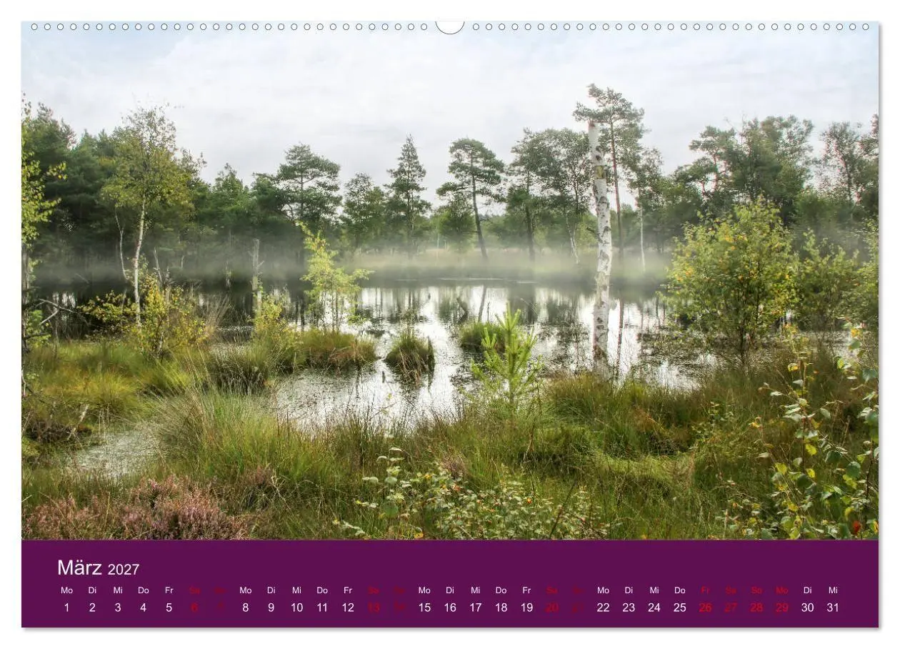 Bild: 9783569843097 | Die Heide blüht (Wandkalender 2027 DIN A2 quer), CALVENDO...