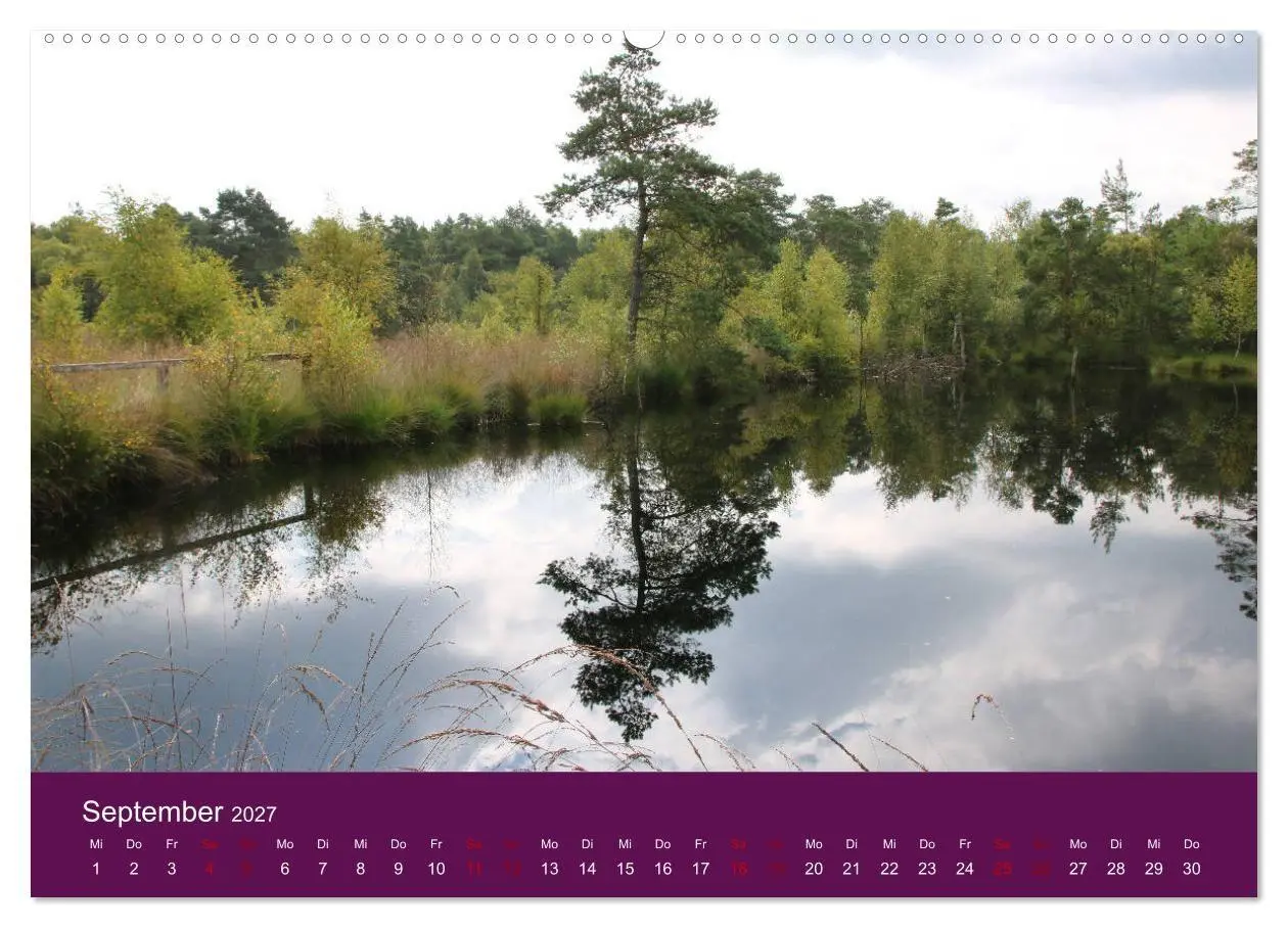 Bild: 9783569843097 | Die Heide blüht (Wandkalender 2027 DIN A2 quer), CALVENDO...