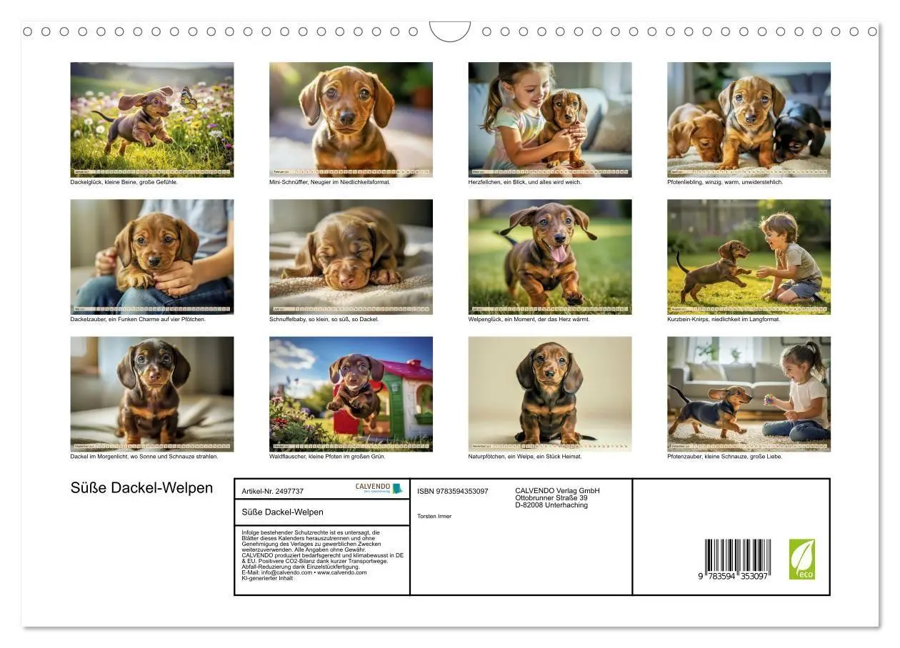 Bild: 9783594353097 | Süße Dackel-Welpen (Wandkalender 2027 DIN A3 quer), CALVENDO...