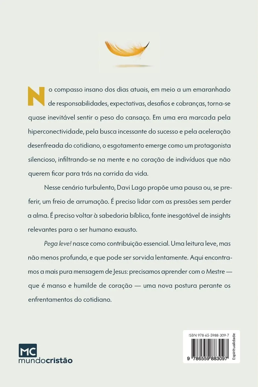 Rückseite: 9786559883097 | Pega leve! Seus problemas não são maiores que Deus | Davi Lago | Buch