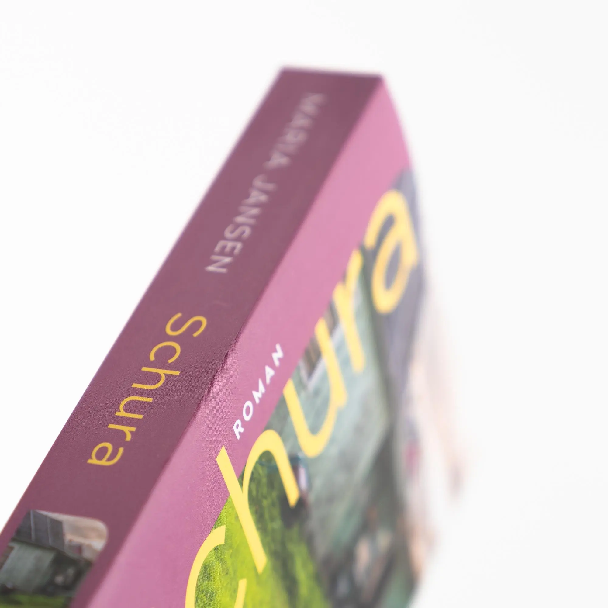 Bild: 9783312013197 | Schura | Maria Jansen | Taschenbuch | 352 S. | Deutsch | 2024