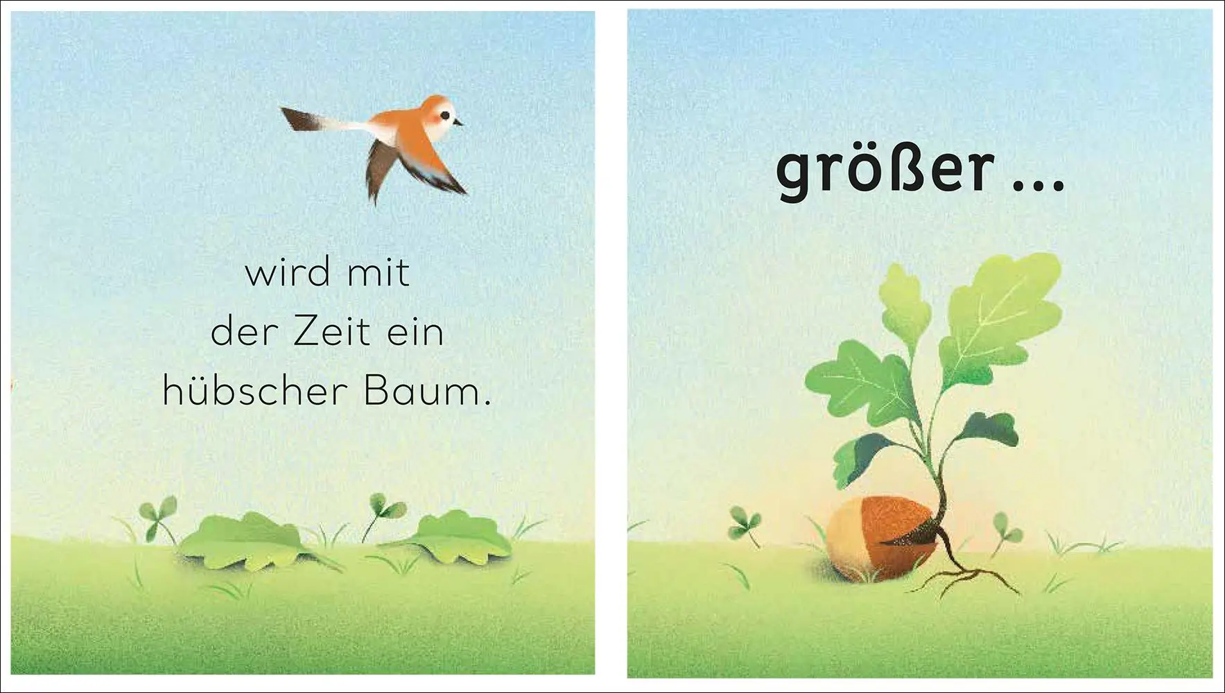 Bild: 9783458643197 | Eine kleine Welt im Baum | Will Millard | Buch | Eine kleine Welt