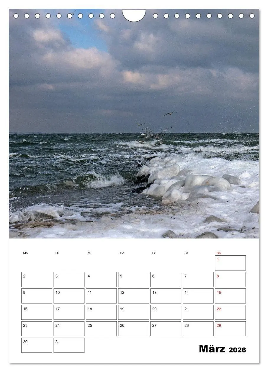 Bild: 9783516433197 | Ostsee. Urlaubsfeeling pur (Wandkalender 2026 DIN A4 hoch),...