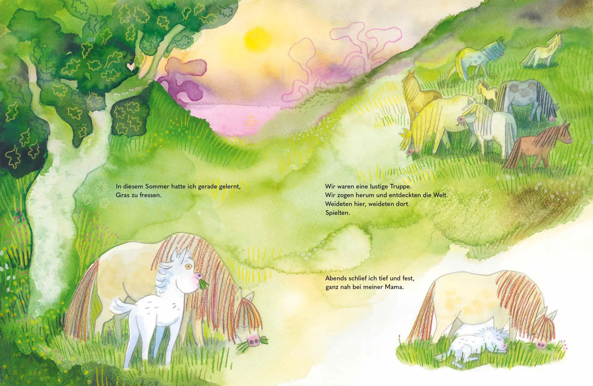 Bild: 9783954703197 | Wild - Ein kleines Pferd braucht Freiheit | Lisen Adbåge | Buch | 2026