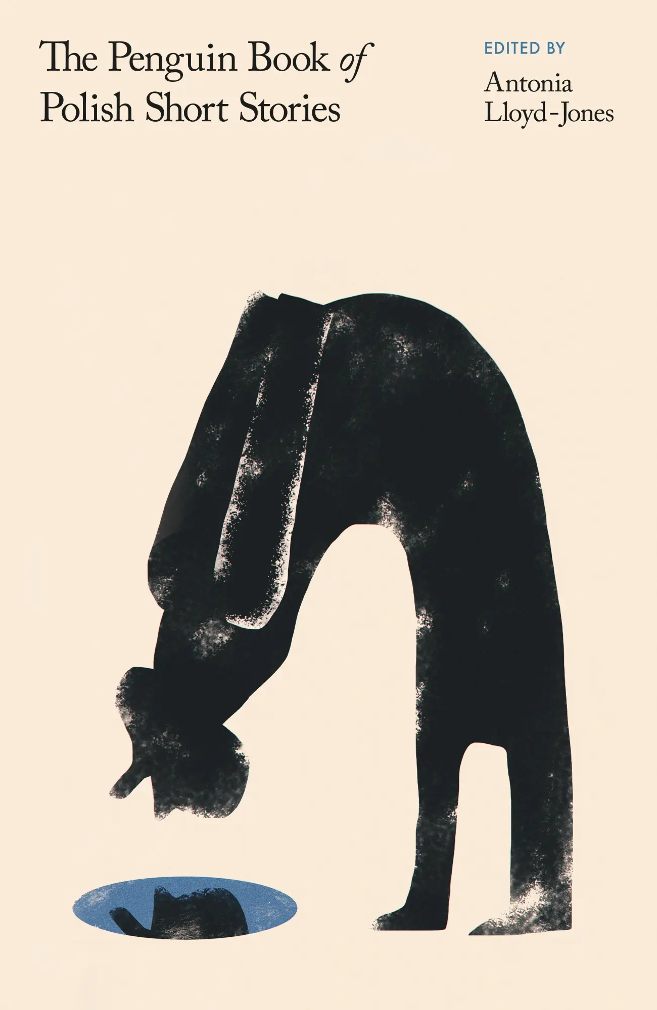 Cover: 9780241563397 | The Penguin Book of Polish Short Stories | Antonia Lloyd-Jones | Buch