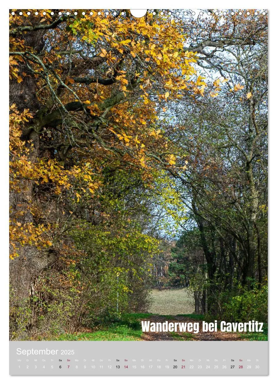 Bild: 9783435923397 | Traumpfade - Schöne Heimat Sachsen (Wandkalender 2025 DIN A3 hoch),...