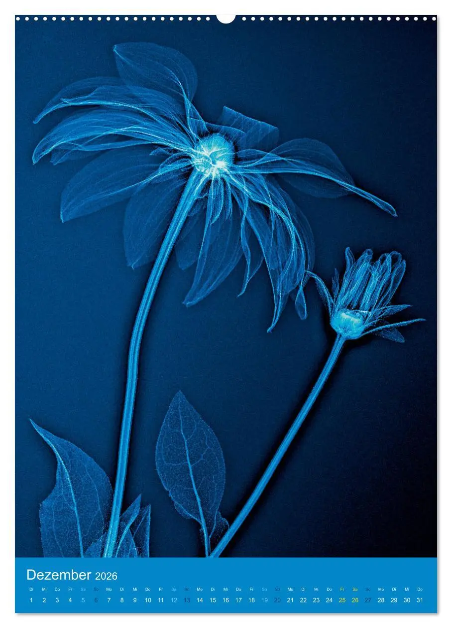 Bild: 9783516343397 | Durchleuchtete Blumenwelt 2026 (Wandkalender 2026 DIN A2 hoch),...
