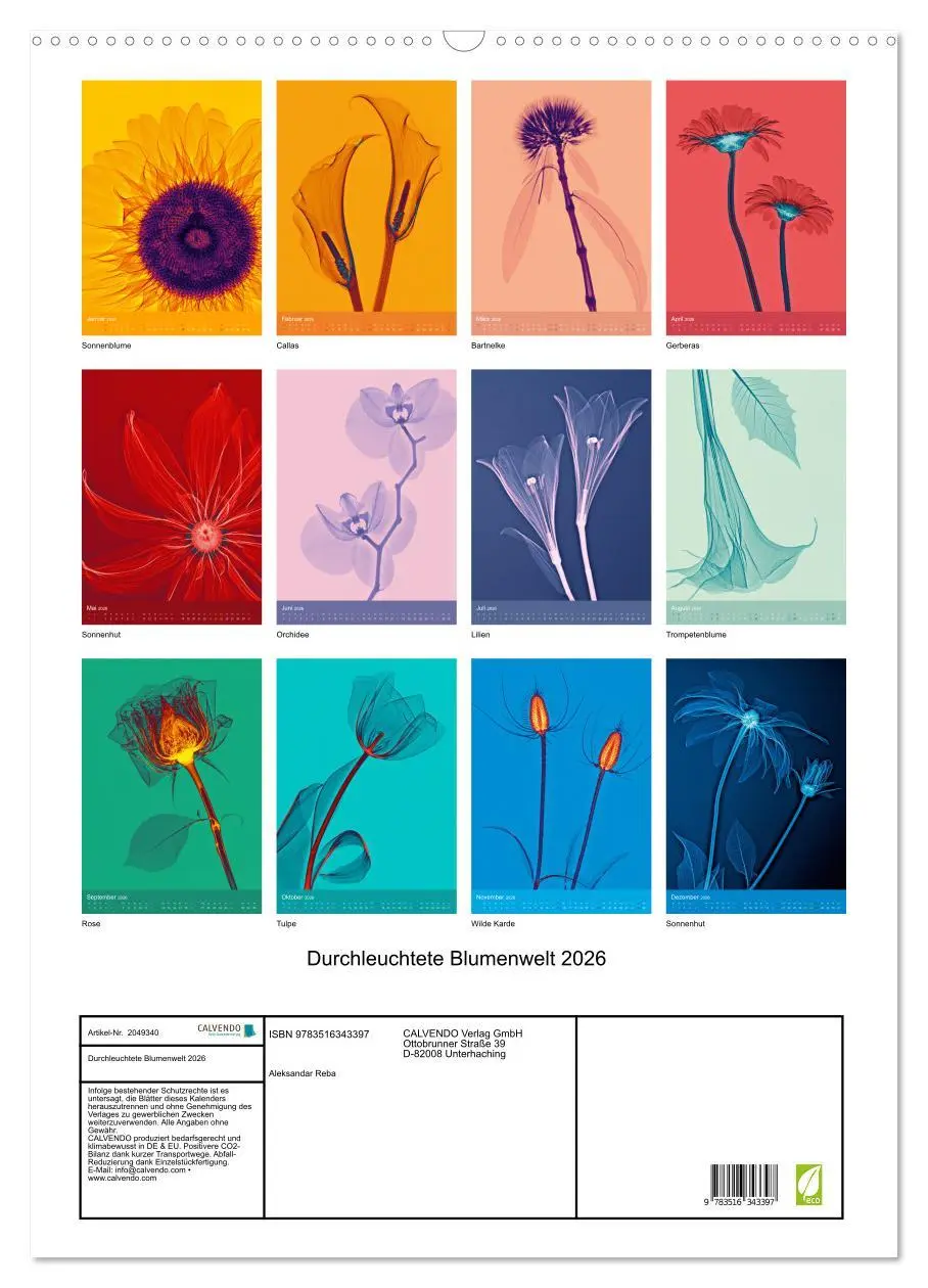 Bild: 9783516343397 | Durchleuchtete Blumenwelt 2026 (Wandkalender 2026 DIN A2 hoch),...