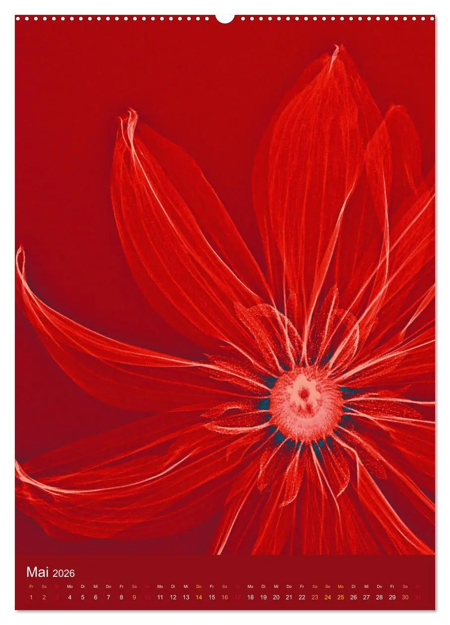 Bild: 9783516343397 | Durchleuchtete Blumenwelt 2026 (Wandkalender 2026 DIN A2 hoch),...