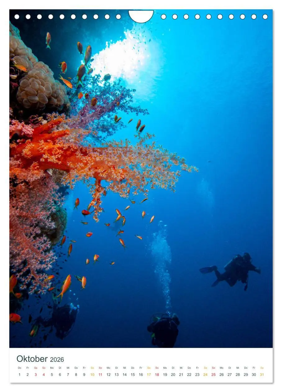Bild: 9783516413397 | Unter Wasser daheim (Wandkalender 2026 DIN A4 hoch), CALVENDO...