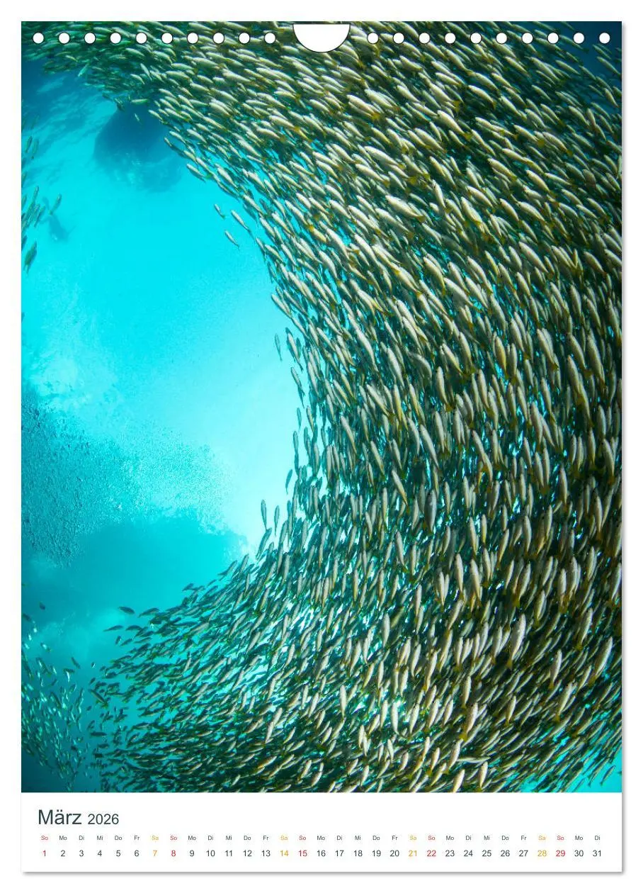 Bild: 9783516413397 | Unter Wasser daheim (Wandkalender 2026 DIN A4 hoch), CALVENDO...