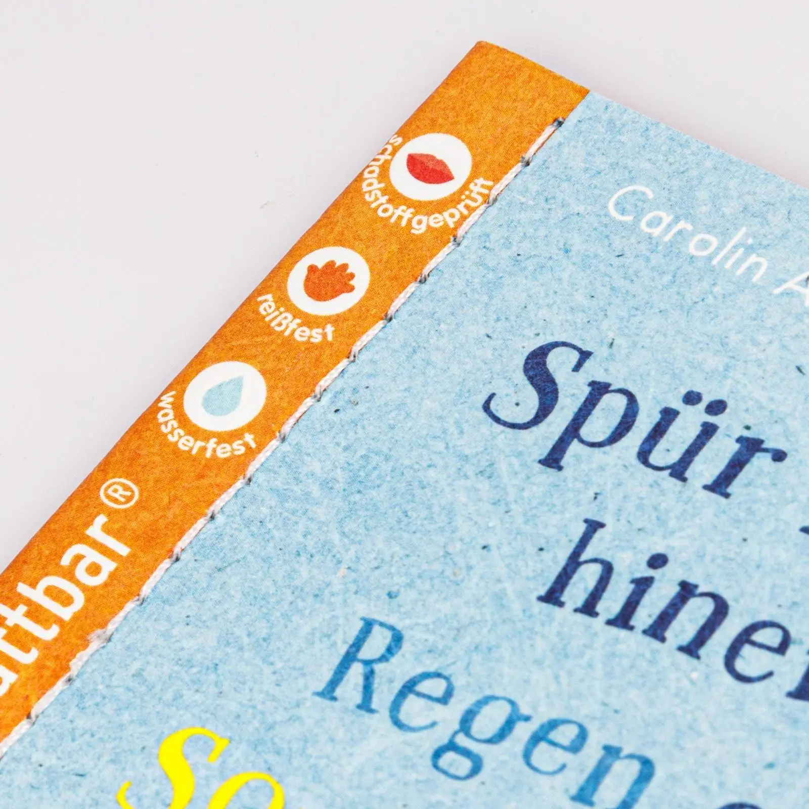 Bild: 9783551063397 | Baby Pixi (unkaputtbar) 176: Spür in dich hinein: Regen oder...