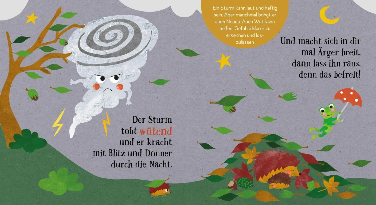 Bild: 9783551063397 | Baby Pixi (unkaputtbar) 176: Spür in dich hinein: Regen oder...
