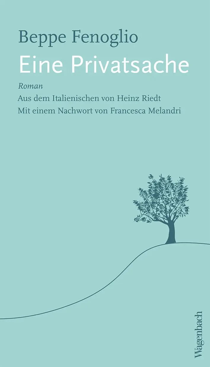 Cover: 9783803133397 | Eine Privatsache | Mit einem Nachwort von Francesca Melandri | Buch