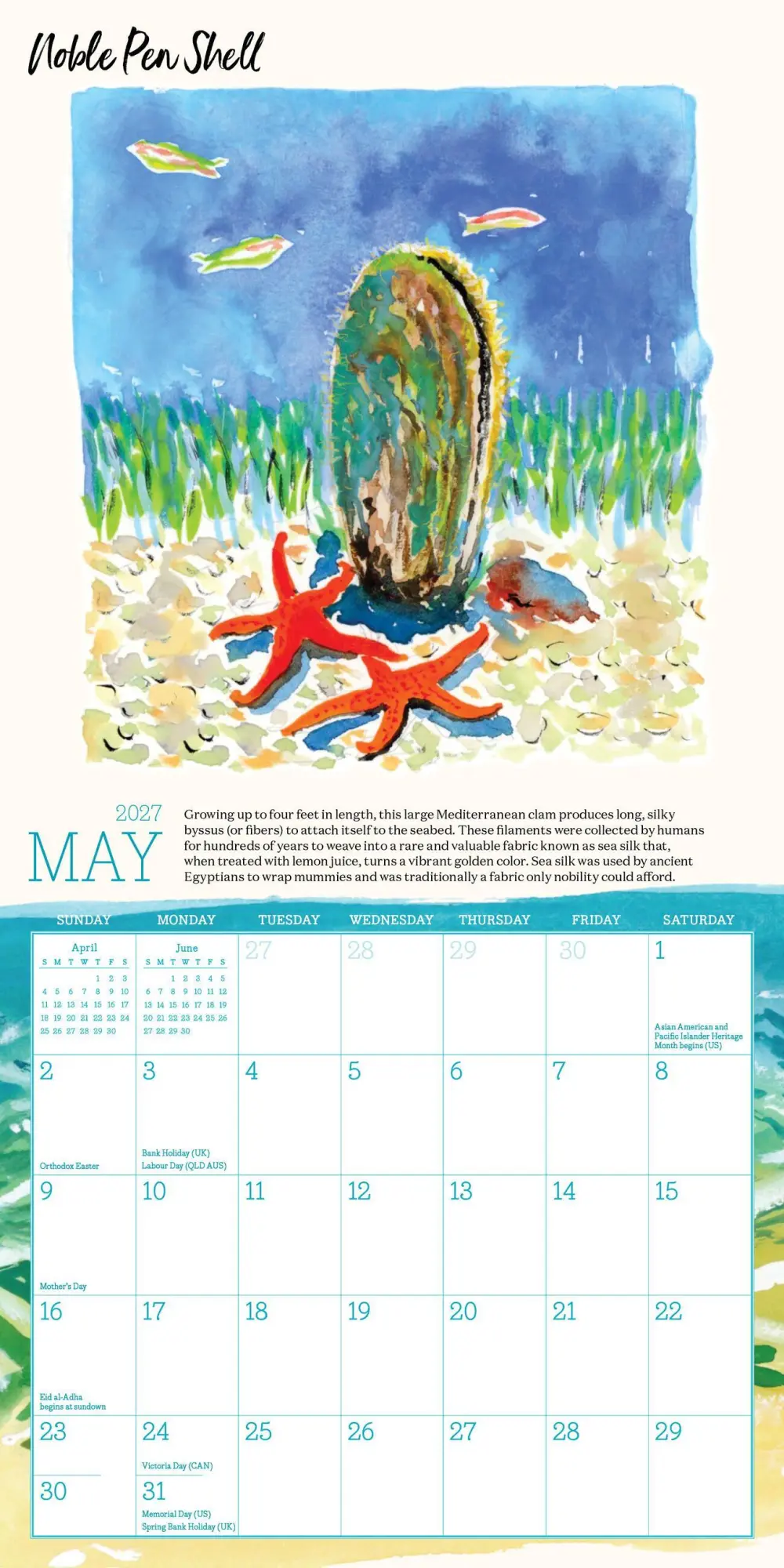 Bild: 9781523533497 | Searching for Seashells Mini Wall Calendar 2027 | Regunberg (u. a.)