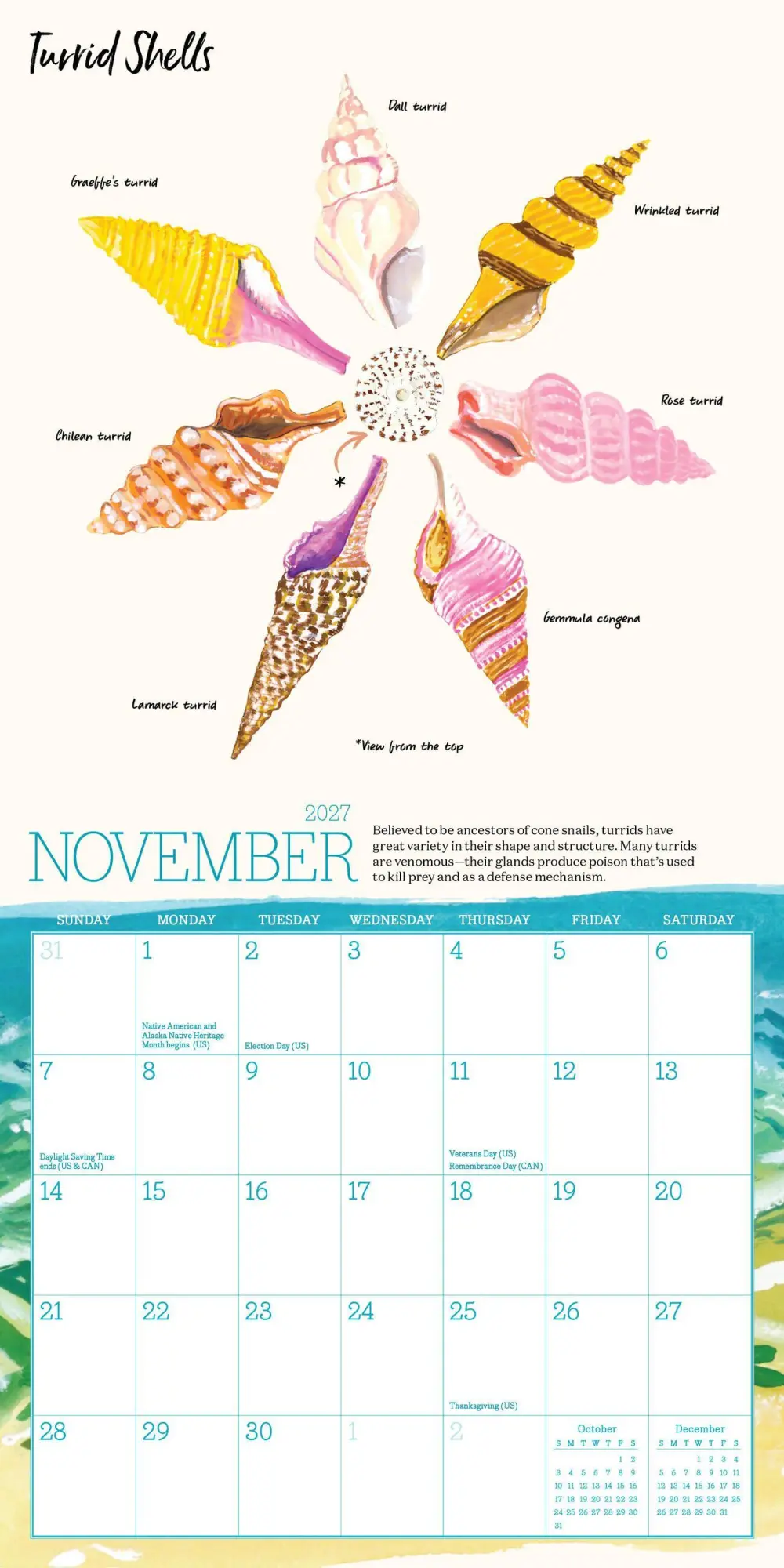 Bild: 9781523533497 | Searching for Seashells Mini Wall Calendar 2027 | Regunberg (u. a.)