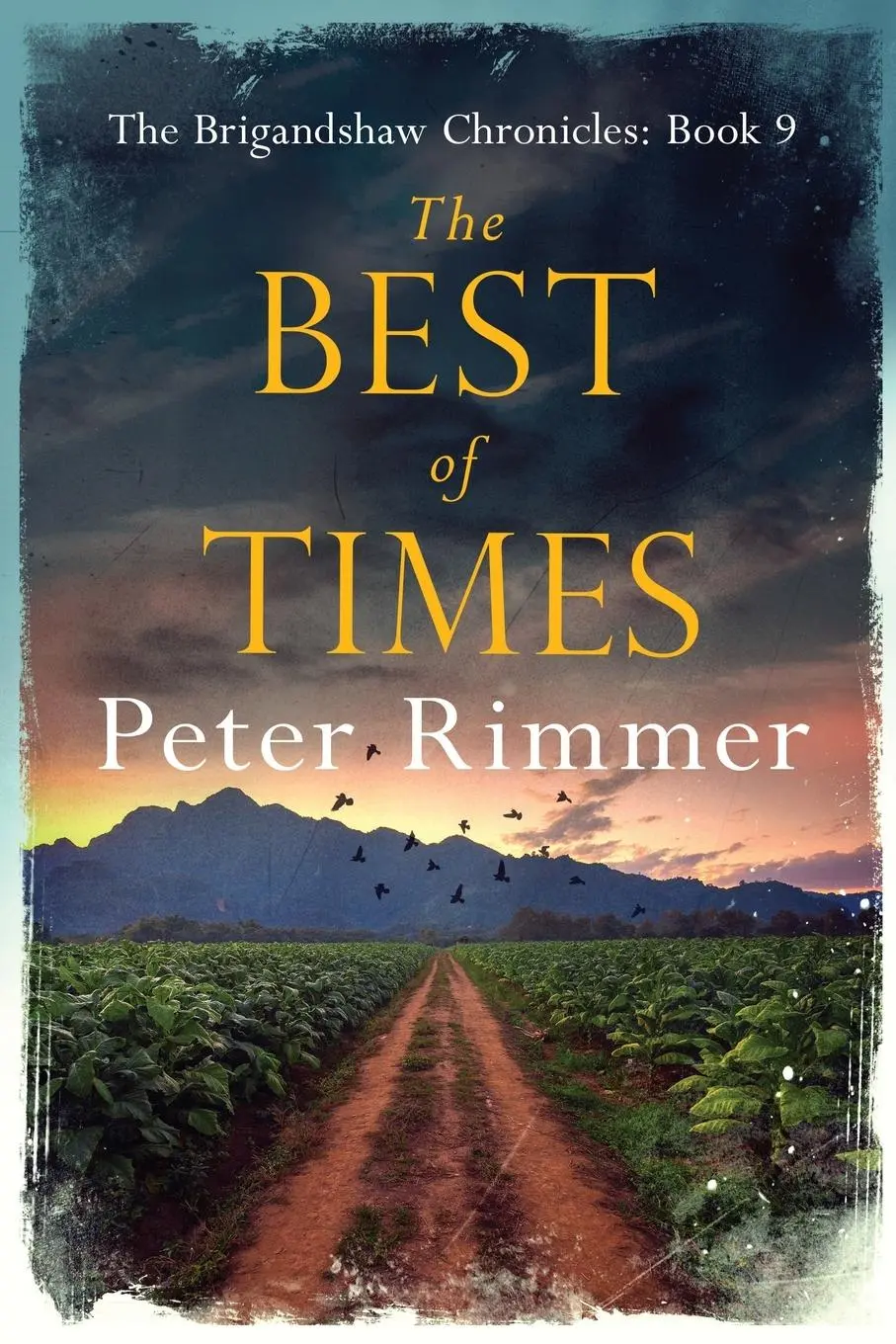Cover: 9781916353497 | The Best of Times | Peter Rimmer | Taschenbuch | Englisch | 2020