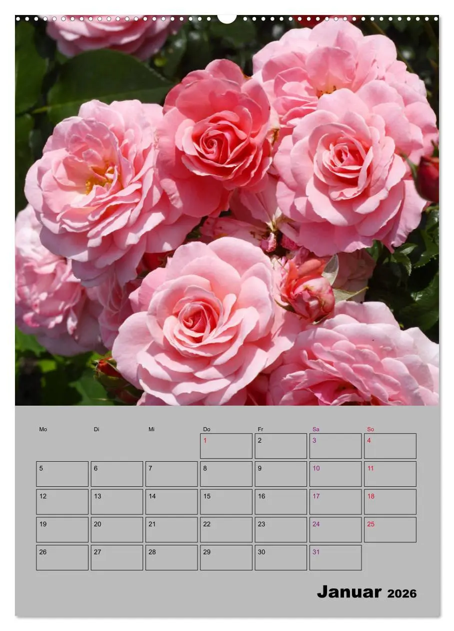Bild: 9783516403497 | Rosen - Symbol der Liebe und Verehrung (hochwertiger Premium...