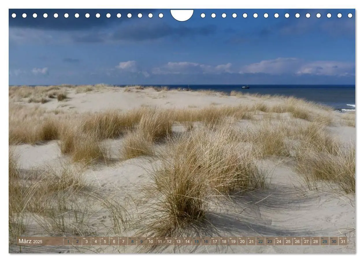 Bild: 9783435763597 | Strandwanderungen auf Texel (Wandkalender 2025 DIN A4 quer),...