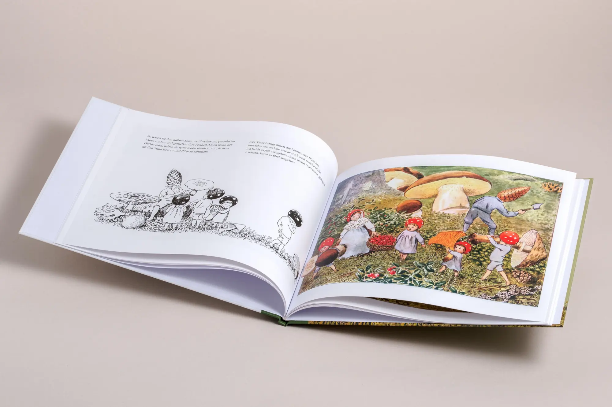 Bild: 9783730613597 | Die Wichtelkinder | Elsa Beskow | Buch | 32 S. | Deutsch | 2024