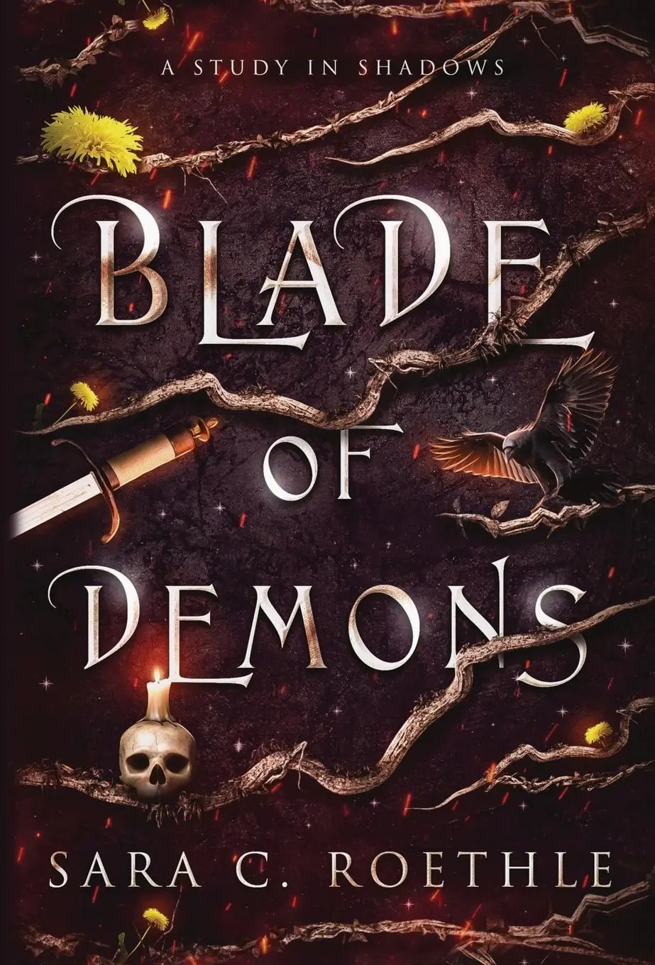 Cover: 9781733013697 | Blade of Demons | Sara C Roethle | Buch | Englisch | 2023