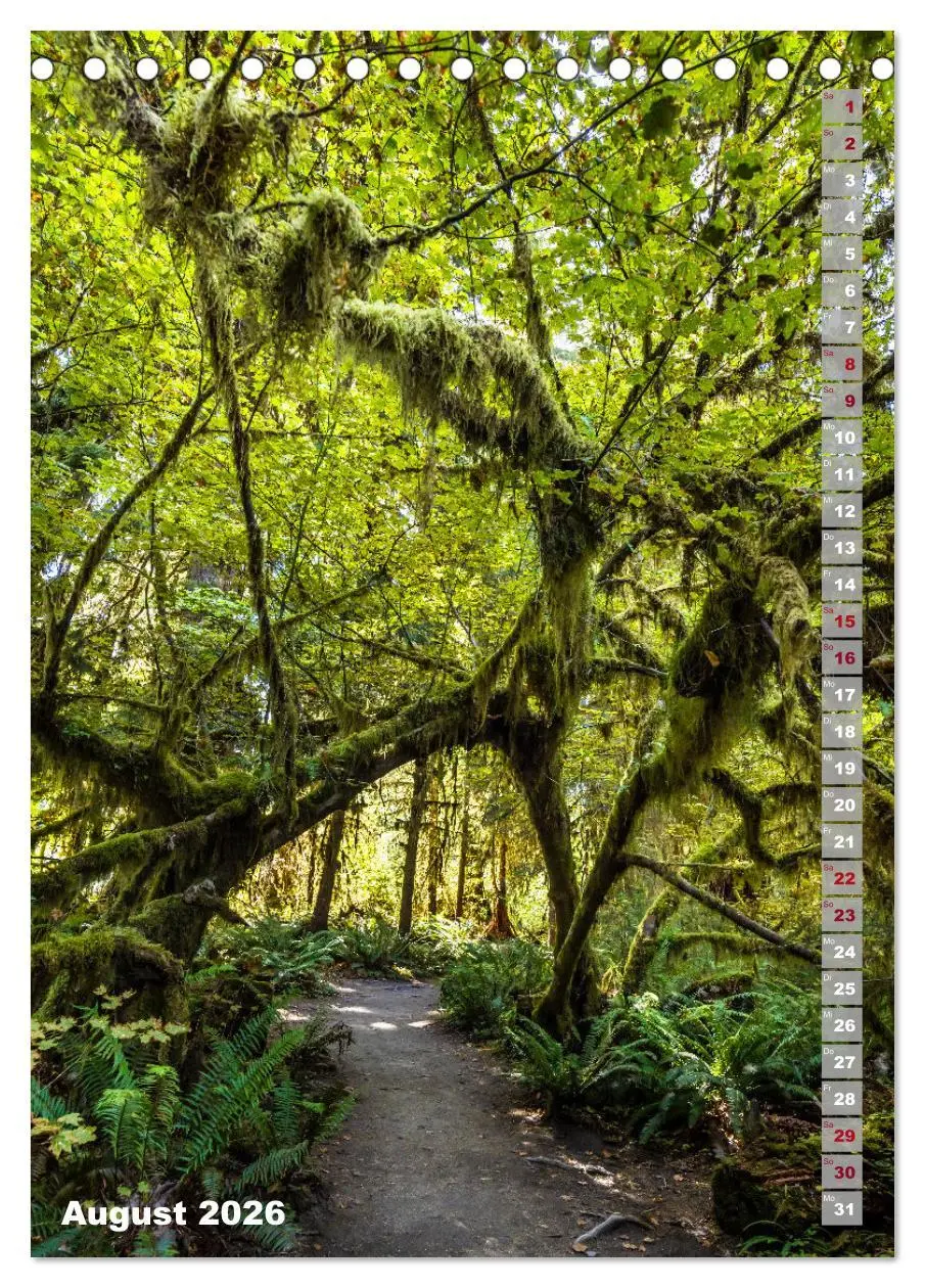 Bild: 9783516243697 | SEATTLE Imposante Stadt- und Naturimpressionen (Tischkalender 2026...