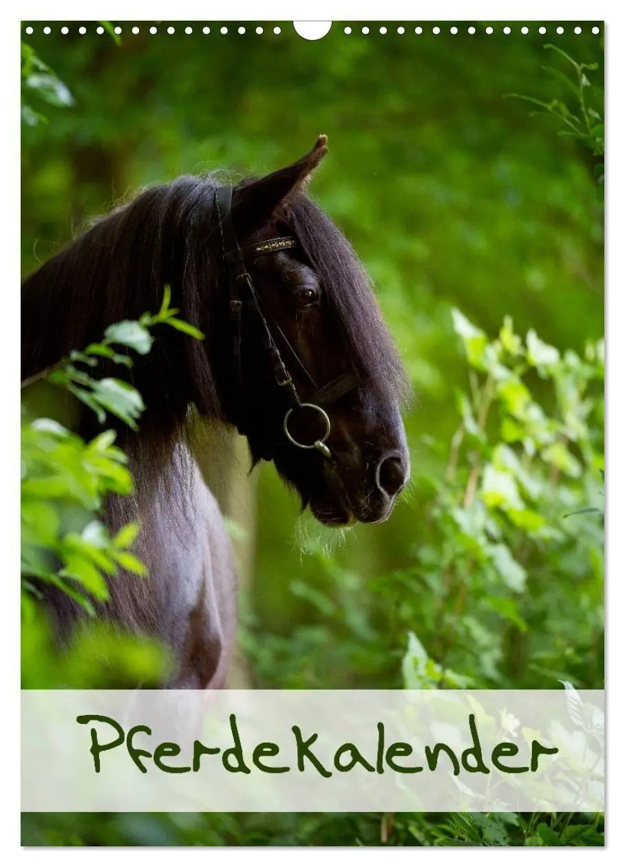 Cover: 9783594153697 | Pferdekalender (Wandkalender 2027 DIN A3 hoch), CALVENDO...