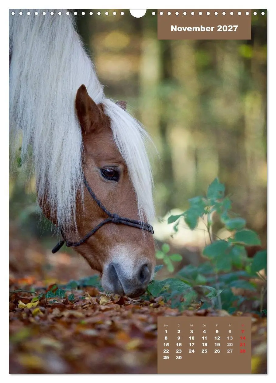Bild: 9783594153697 | Pferdekalender (Wandkalender 2027 DIN A3 hoch), CALVENDO...
