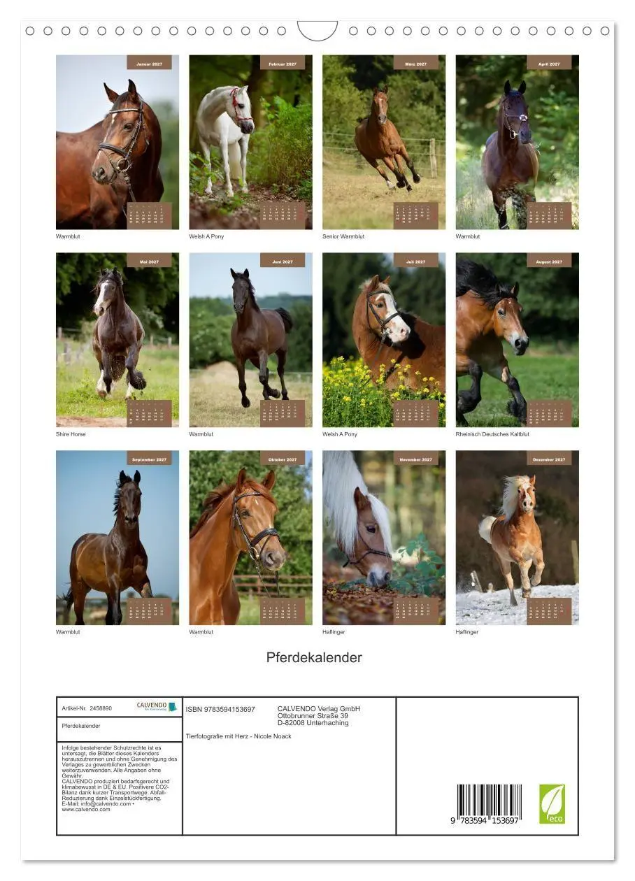 Bild: 9783594153697 | Pferdekalender (Wandkalender 2027 DIN A3 hoch), CALVENDO...