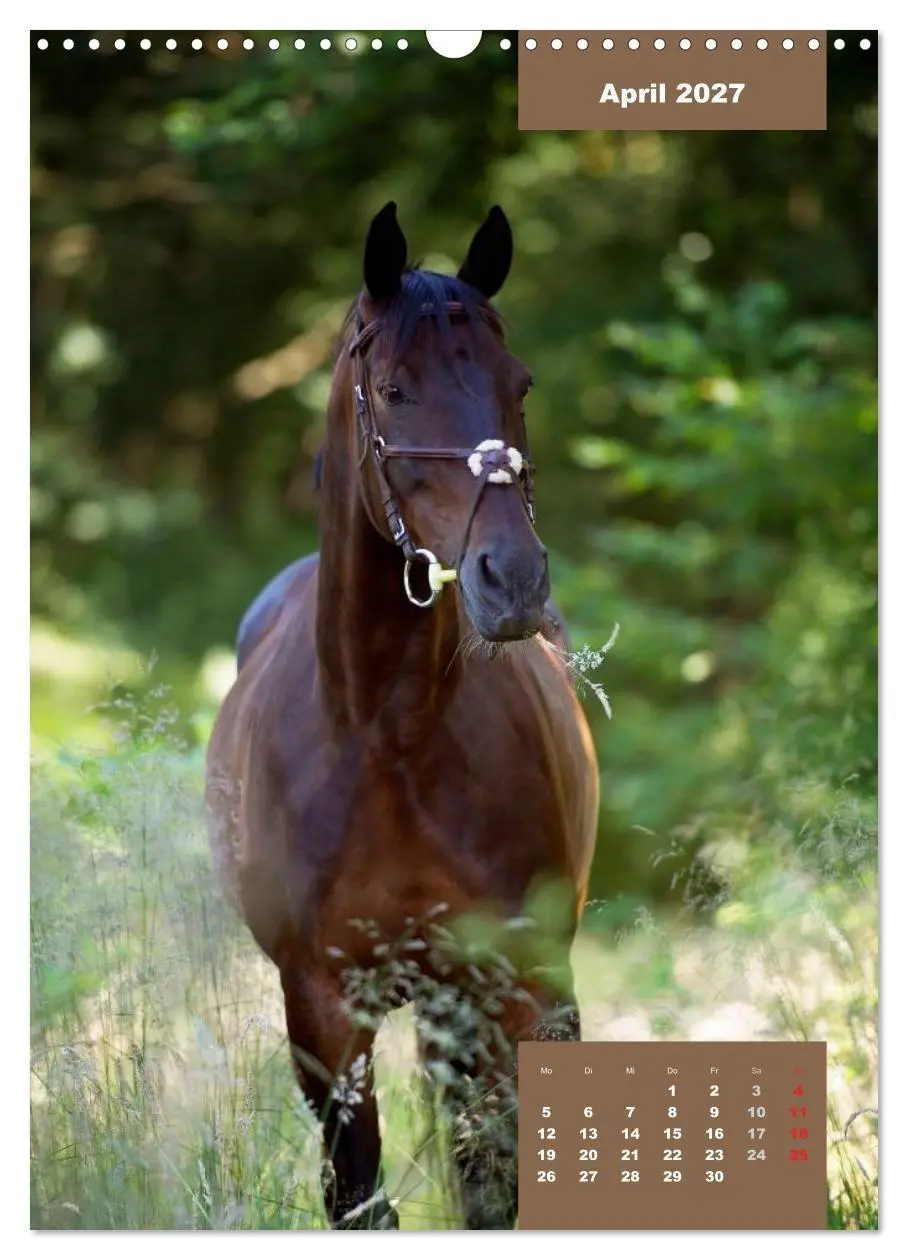 Bild: 9783594153697 | Pferdekalender (Wandkalender 2027 DIN A3 hoch), CALVENDO...