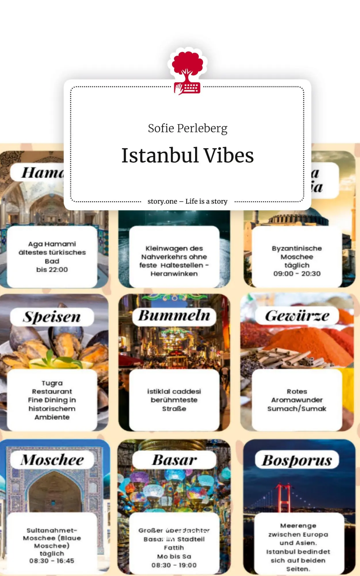 Cover: 9783711583697 | Istanbul Vibes. Life is a Story - story.one | Sofie Perleberg | Buch