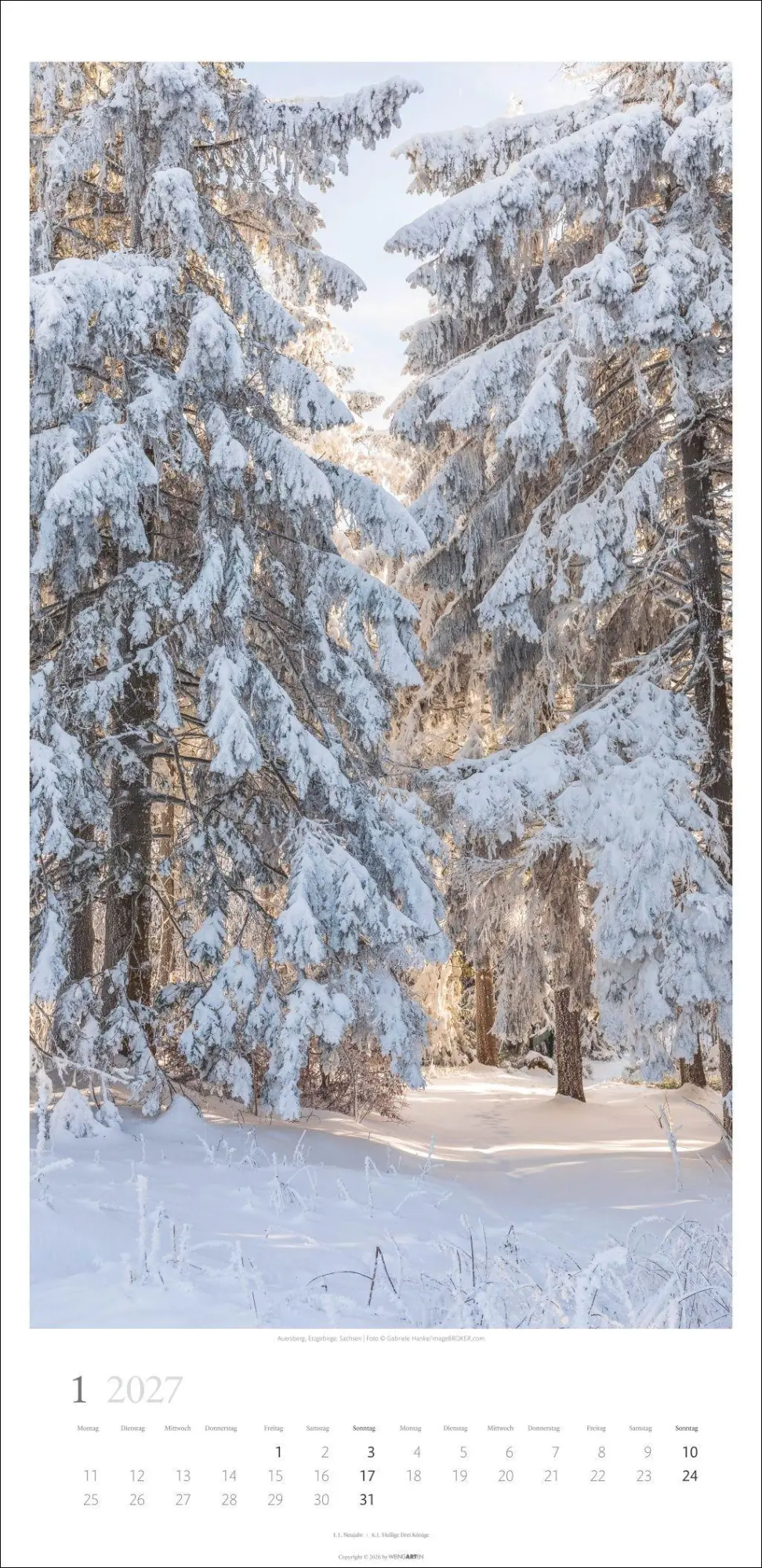 Bild: 9783839903797 | Im Wald Kalender 2027 | Kalender | Spiralbindung | 14 S. | Deutsch