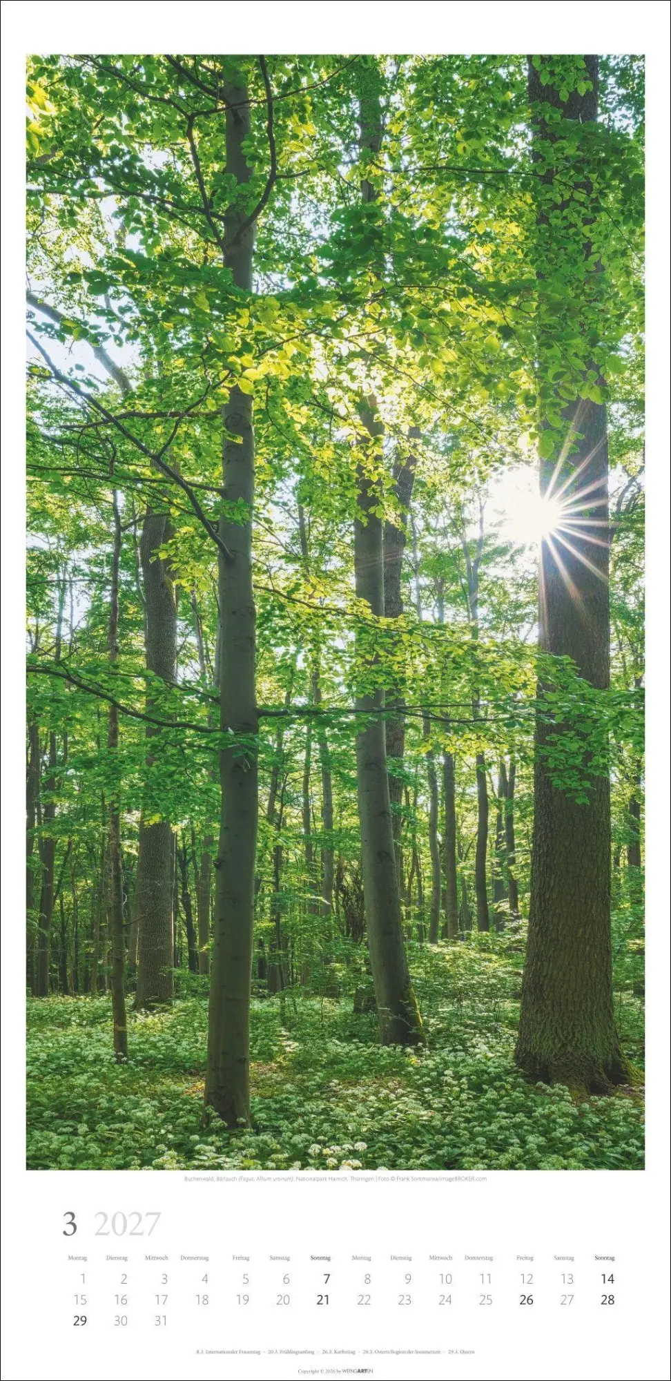 Bild: 9783839903797 | Im Wald Kalender 2027 | Kalender | Spiralbindung | 14 S. | Deutsch