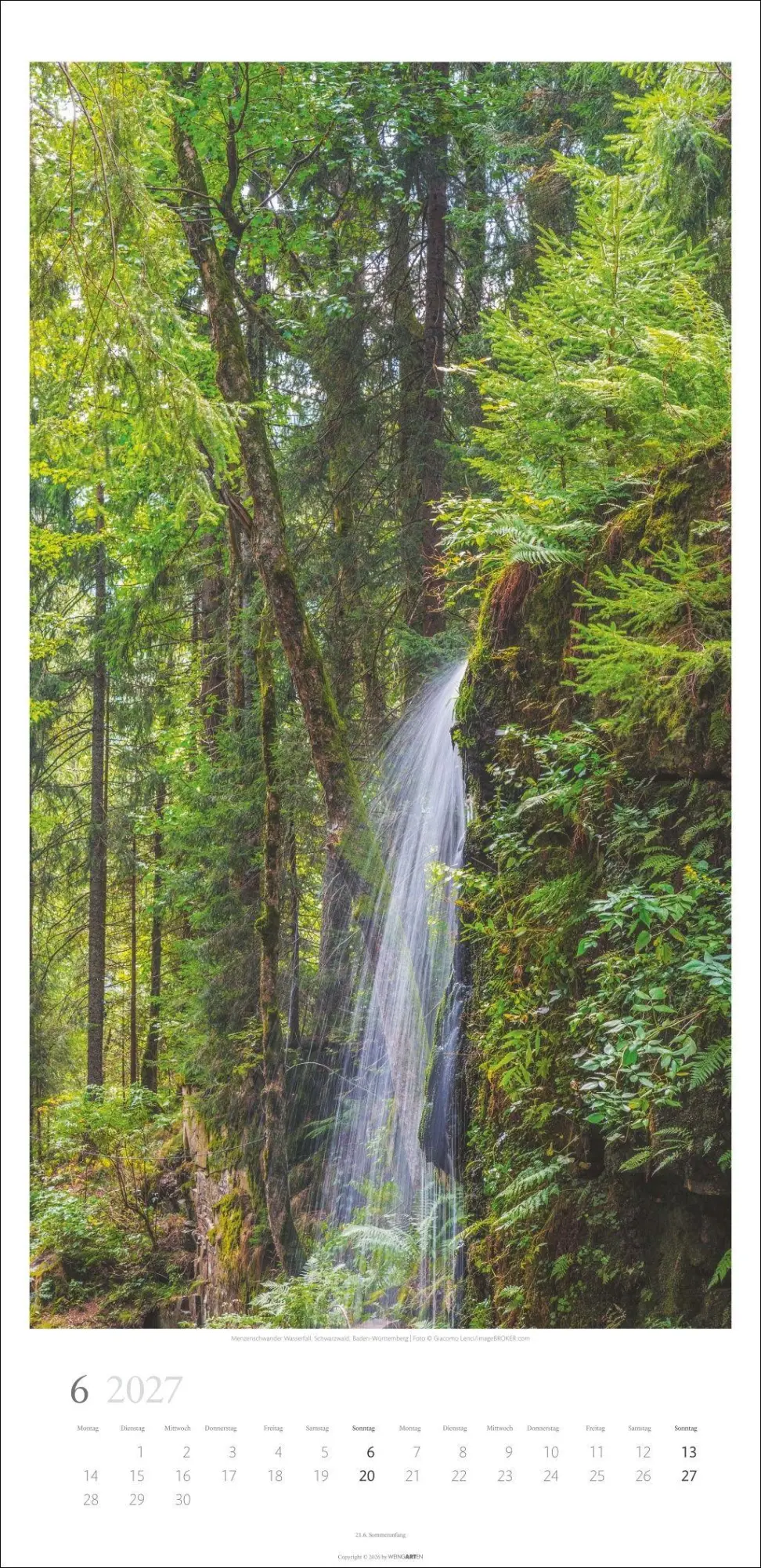 Bild: 9783839903797 | Im Wald Kalender 2027 | Kalender | Spiralbindung | 14 S. | Deutsch