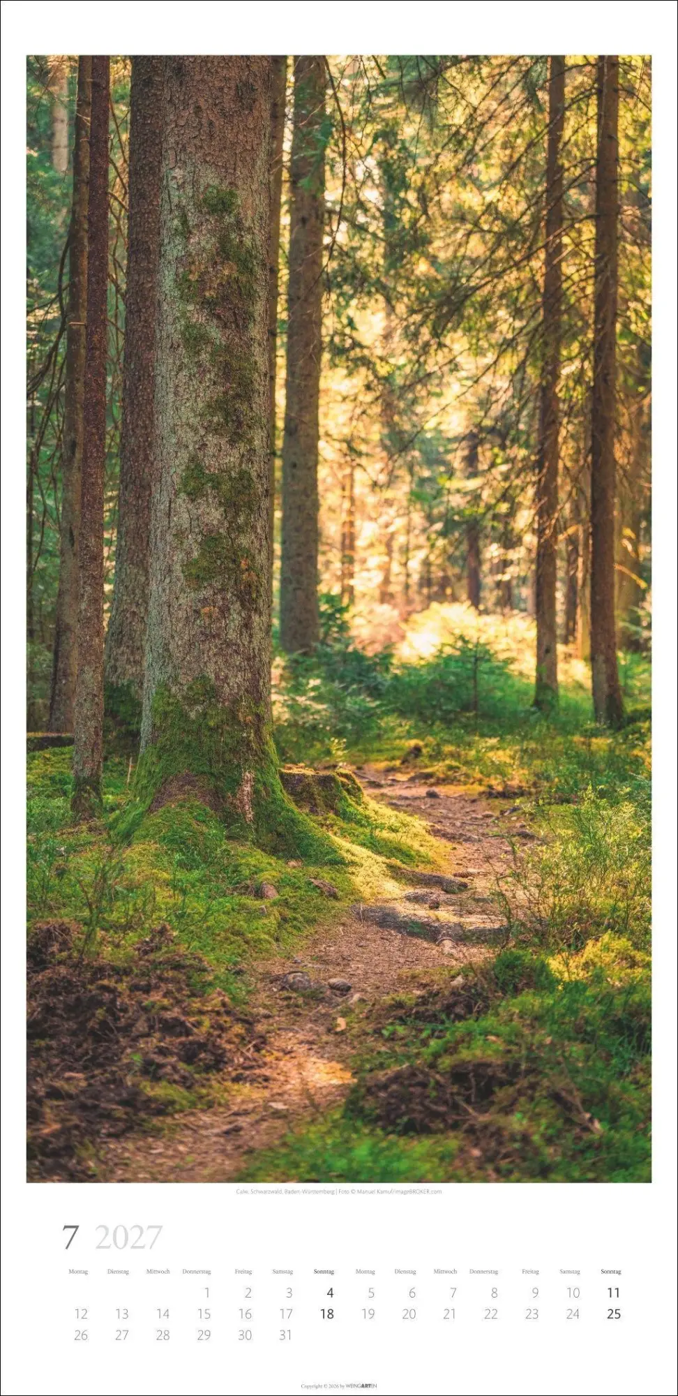 Bild: 9783839903797 | Im Wald Kalender 2027 | Kalender | Spiralbindung | 14 S. | Deutsch