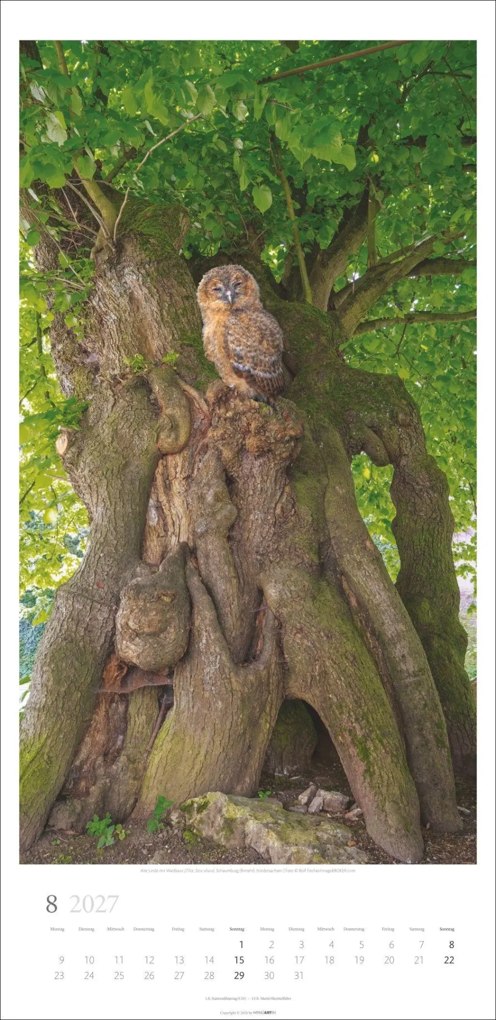 Bild: 9783839903797 | Im Wald Kalender 2027 | Kalender | Spiralbindung | 14 S. | Deutsch