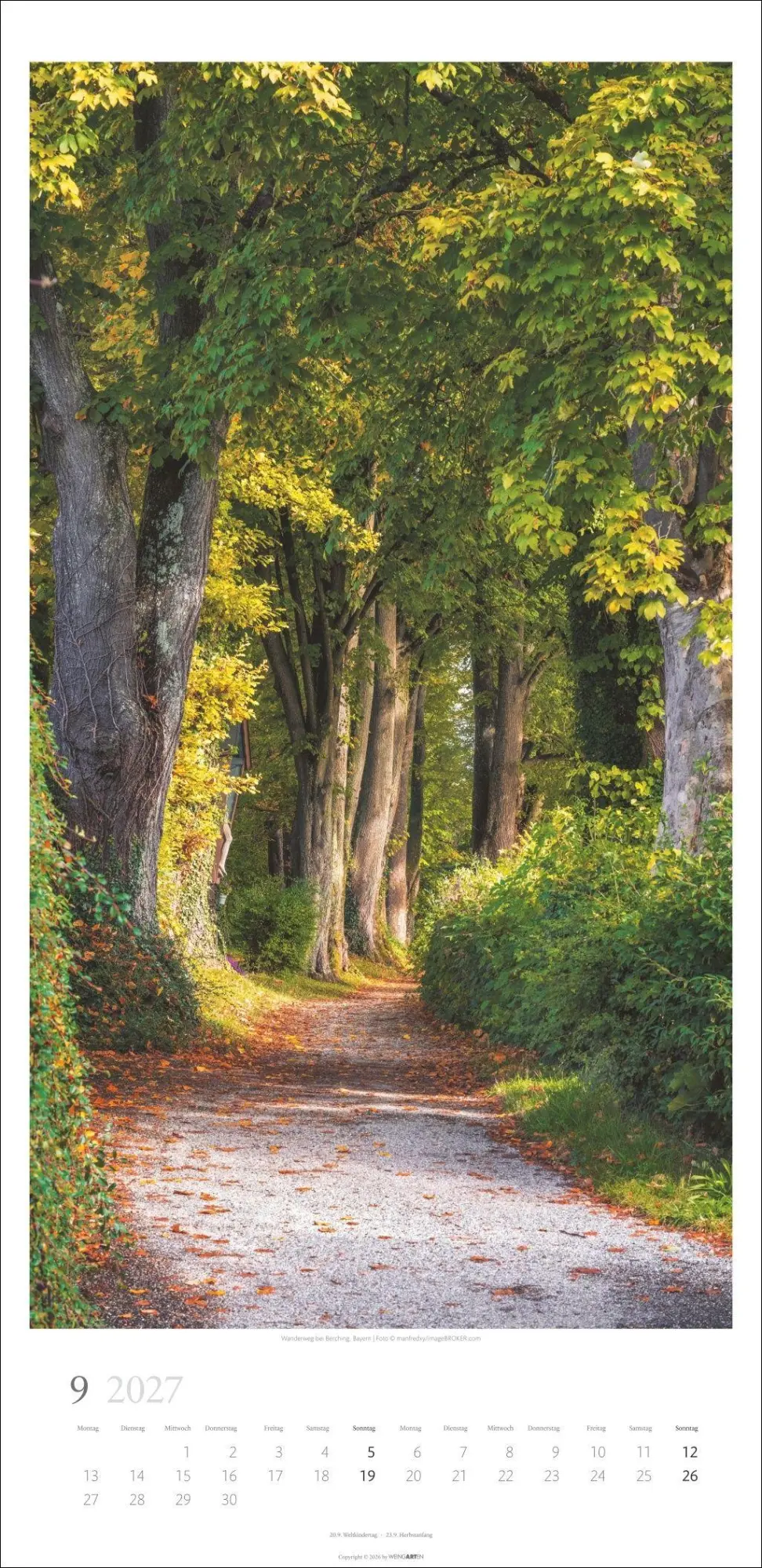 Bild: 9783839903797 | Im Wald Kalender 2027 | Kalender | Spiralbindung | 14 S. | Deutsch